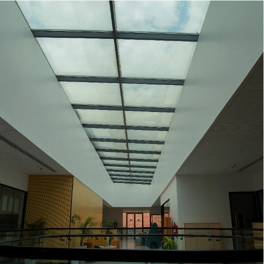 Skylights: The Dream vs. The Reality